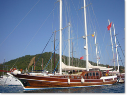 Gulet Vira 08/A1